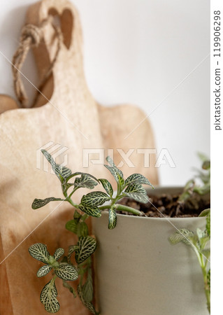 cutting board pot plant light wooden texture eco-friendly cutting board pot plant light wooden texture eco-friendly 119906298