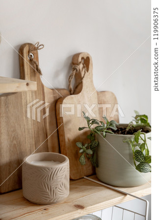 cutting board pot plant light wooden texture eco-friendly 119906375