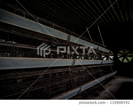 The empty laying cages of poultry houses, old, decayed, abandoned 119906591
