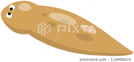 美國地老虎 美國地老虎 119906620