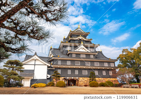 Okayama Castle in Okayama, Japan 119906631