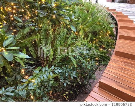Leaves and light Leaves and light 119906758