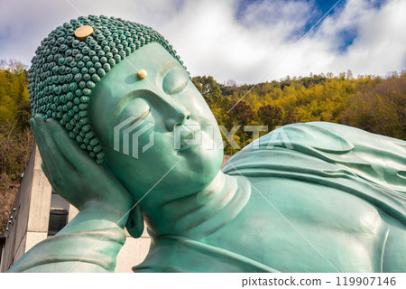 The Reclining Buddha of Nanzoin Temple The Reclining Buddha of Nanzoin Temple 119907146