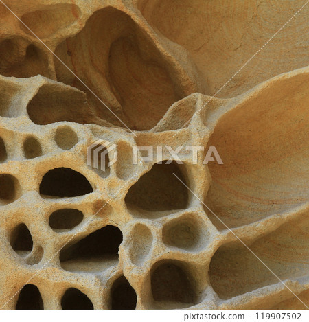 Unique shaped rock, detail  in Sydney. 119907502
