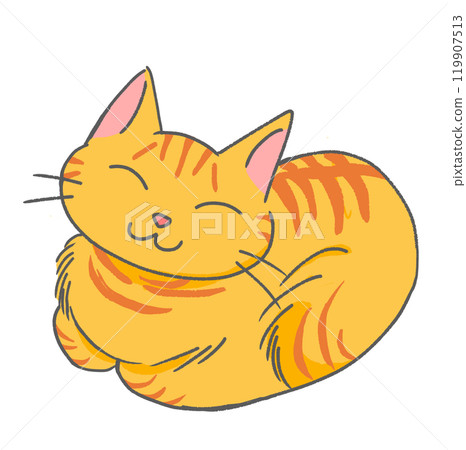 A tea tabby cat that curls up and sleeps happily A tea tabby cat that curls up and sleeps happily 119907513