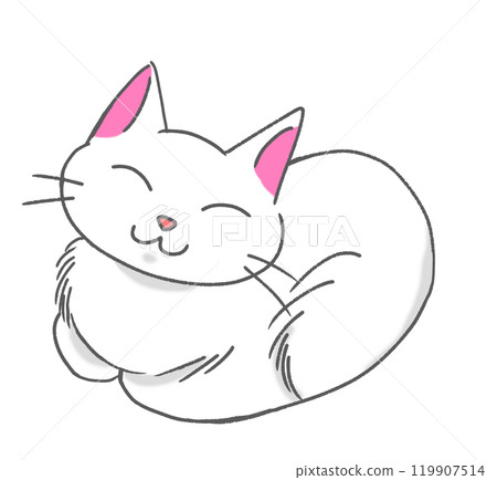 一隻白貓閉著眼睛坐在桶子位置 一隻白貓閉著眼睛坐在桶子位置 119907514