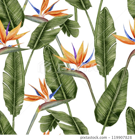 Tropical flowers strelitzia and leaves palm seamless pattern on white background. Watercolor illustration for textile, fabric, wallpaper, card, packaging, party. 119907828