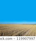 Golden wheat fields stretch out as far as the eye can see. [Image of rising grain prices] 119907997