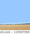 Golden wheat fields stretch out as far as the eye can see. [Image of rising grain prices] 119907998