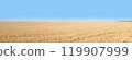 Golden wheat fields stretch out as far as the eye can see. [Image of rising grain prices] 119907999