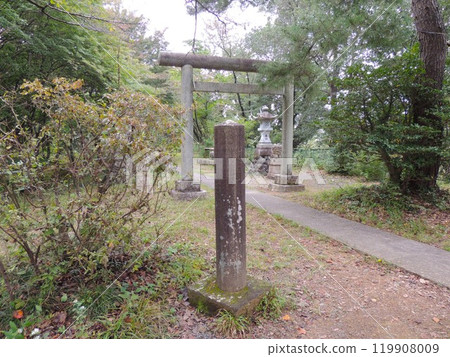 Bushu Ome Konpira Shrine Twelve-pointed Monument 119908009