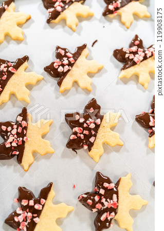 Preparing star-shaped cookies, half-dipped in chocolate, accented with peppermint chocolate chips for the holidays. 119908175