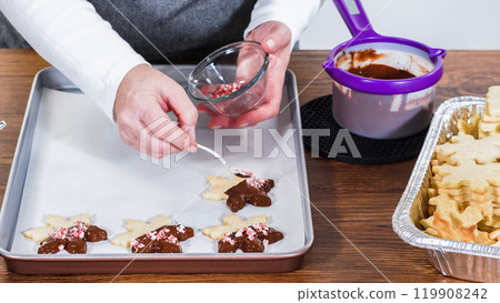 Crafting star-shaped holiday cookies dipped in chocolate and sprinkled with variety of toppings. Crafting star-shaped holiday cookies dipped in chocolate and sprinkled with variety of toppings. 119908242