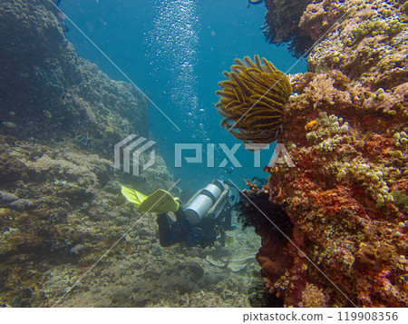 A scuba diver is blowing air bubbles and swimming past beautiful corals underwater 119908356