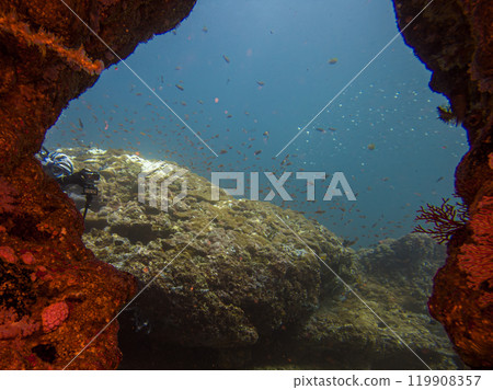 A hole in a coral wall forms a tunnel leading to a beautiful blue lagoon with schools of fish A hole in a coral wall forms a tunnel leading to a beautiful blue lagoon with schools of fish 119908357