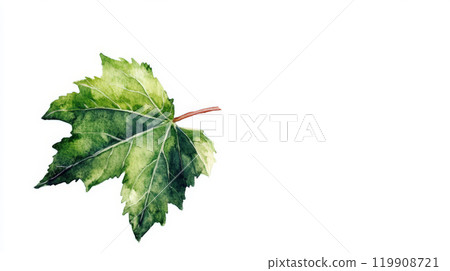 The artwork features a vibrant green maple leaf with intricate details showcasing its veins and texture, elegantly placed on a white backdrop 119908721