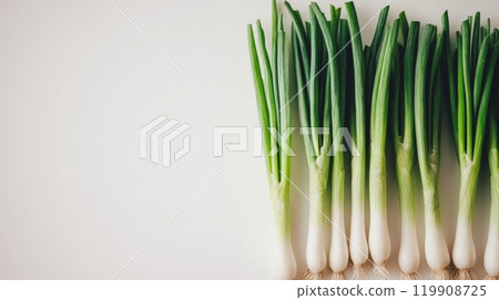 A collection of fresh green onions lies arranged in a row on a light background, showcasing their vibrant green tops and white bulbs, ideal for enhancing various dishes A collection of fresh green onions lies arranged in a row on a light background, showcasing their vibrant green tops and white bulbs, ideal for enhancing various dishes 119908725