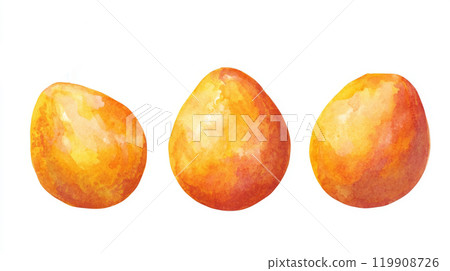 Three freshly illustrated apricots display a bright orange hue and shiny skin, arranged in a straight line. The smooth texture highlights their ripeness, set against a clean white backdrop 119908726