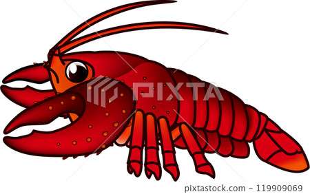 American crayfish illustration American crayfish illustration 119909069