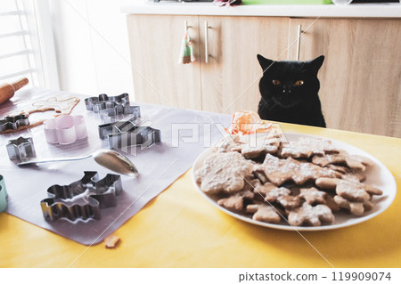 Black cat on chair looking at Christmas cookies on the table. Funny kitten with Christmas gingerbread cookies. Cinnamon pastry in funny shapes with pet on background. Homemade cookies and black kitty. 119909074