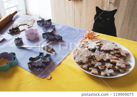 Black cat on chair looking at Christmas cookies on the table. Funny kitten with Christmas gingerbread cookies. Cinnamon pastry in funny shapes with pet on background. Homemade cookies and black kitty. 119909075