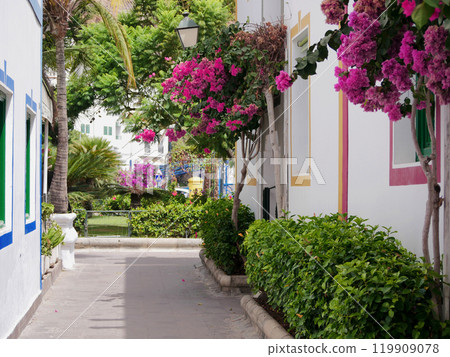 Cozy streets of Puerto de Mogan, Gran Canaria with flowering Bougainvillea trees. Year-round all-season travel in warm countries concept. Mass tourism in Canary Islands Cozy streets of Puerto de Mogan, Gran Canaria with flowering Bougainvillea trees. Year-round all-season travel in warm countries concept. Mass tourism in Canary Islands 119909078