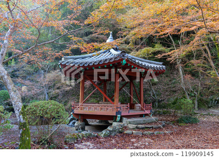 Autumn colored leaves park Autumn colored leaves park 119909145