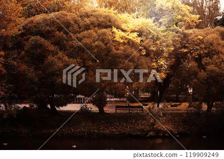 Autumn park bench, rainy texture background. Rain in autumn park, drops of water, wind. 119909249
