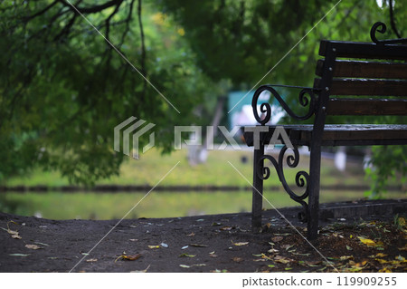 Autumnal park with bench. Falling leaves. Focus on bench Autumnal park with bench. Falling leaves. Focus on bench 119909255