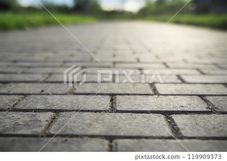 Summer landscape, lush green vegetation and nature. 119909373