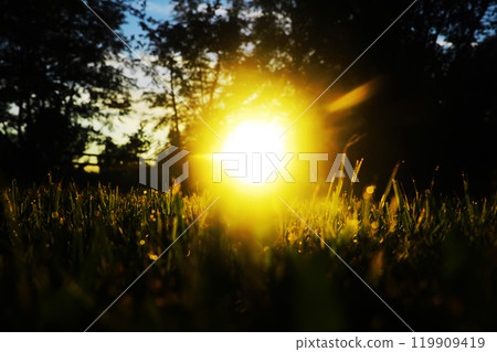 Green Leaves.Nature background. The natural background in the park, with blurred winds, fresh air and coolness. Green Leaves.Nature background. The natural background in the park, with blurred winds, fresh air and coolness. 119909419