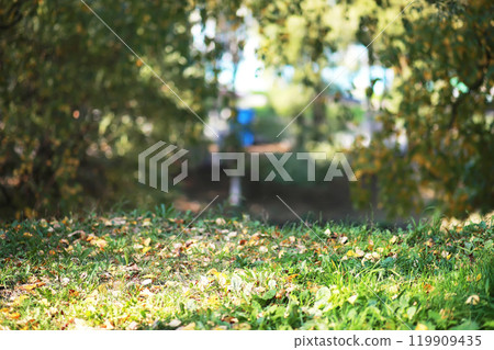 city park without people on an autumn day, bright rays of the sun shine through the crowns of maple trees city park without people on an autumn day, bright rays of the sun shine through the crowns of maple trees 119909435