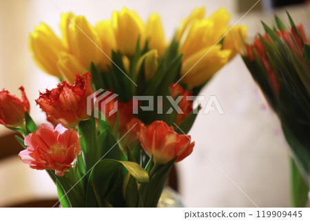 Tulip flowers close-up in a vase. Mothers Day. Tulip flowers close-up in a vase. Mothers Day. 119909445