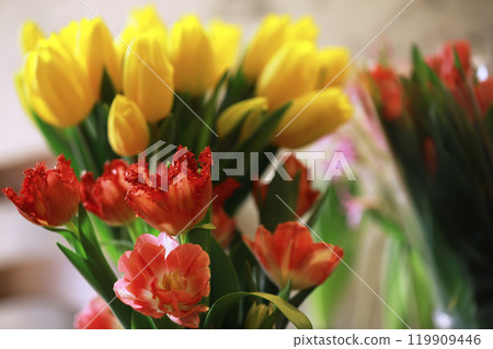 Tulip flowers close-up in a vase. Mothers Day. Tulip flowers close-up in a vase. Mothers Day. 119909446