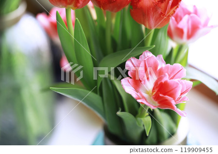 Tulip flowers close-up in a vase. Mothers Day. 119909455