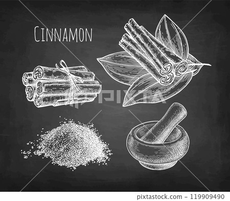 Cinnamon set chalk sketch. Cinnamon set chalk sketch. 119909490