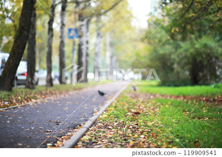city park without people on an autumn day, bright rays of the sun shine through the crowns of maple trees 119909541