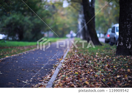 Beautiful autumn park. Russian North. Autumn trees and leaves. Autumn Landscape.Park in Autumn. Forest in Autumn. 119909542