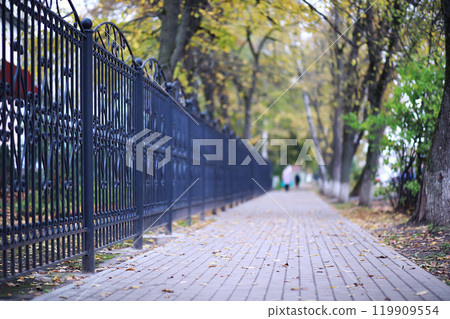 Beautiful autumn park. Russian North. Autumn trees and leaves. Autumn Landscape.Park in Autumn. Forest in Autumn. 119909554