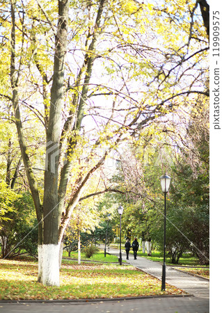 city park without people on an autumn day, bright rays of the sun shine through the crowns of maple trees 119909575