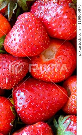 Fresh red strawberries for a healthy diet, Strawberries, photography. High quality photo 119909976