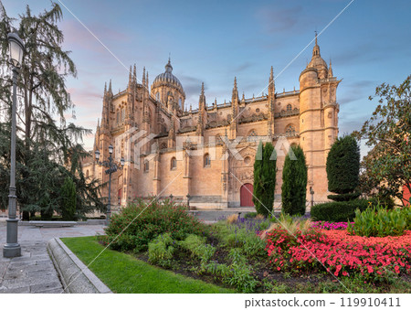 New Cathedral of Salamanca 119910411