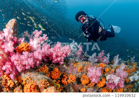 Scuba diver diving through colorful soft coral reef at King Cruiser wreck ship in Phuket, Thailand. 119910632