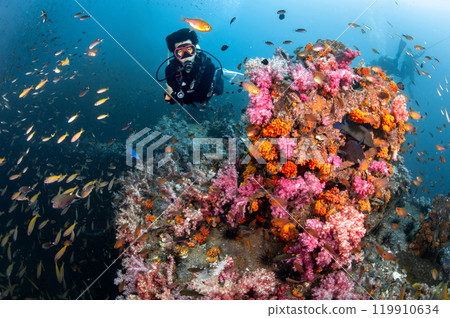 Scuba diver diving through colorful soft coral reef at King Cruiser wreck ship in Phuket, Thailand. 119910634