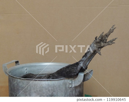 black chicken feet sticking out of grey vintage pot with water against textured cardboard brown wall with empty space, farm bird soaking in boiling water for feather plucking black chicken feet sticking out of grey vintage pot with water against textured cardboard brown wall with empty space, farm bird soaking in boiling water for feather plucking 119910645