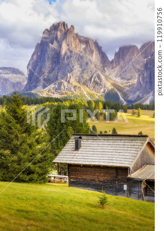 Dolomites Alpe di Siusi, Italy landscape, autumn 119910756