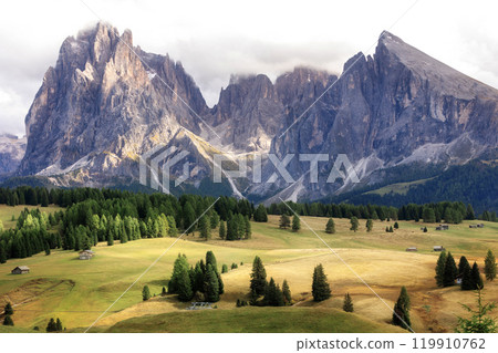 Beautiful landscape with mountains and two Alpacas at Alpe di Siusi in Southtyrol 119910762