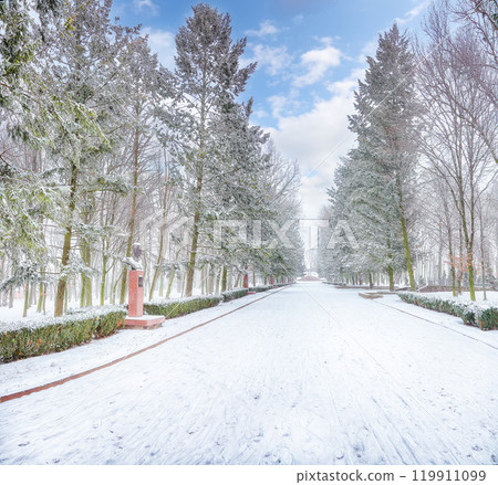 Amazing landscape with snow-covered trees and Christmas trees in the city park. Amazing landscape with snow-covered trees and Christmas trees in the city park. 119911099