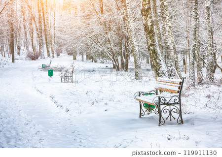 Amazing view of park bench and trees covered by heavy snow 119911130