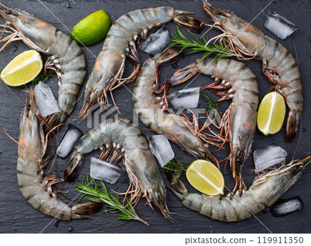 Raw big tiger ( king ) shrimps photography . Top view 119911350